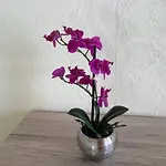 Apartment Schuster Elend