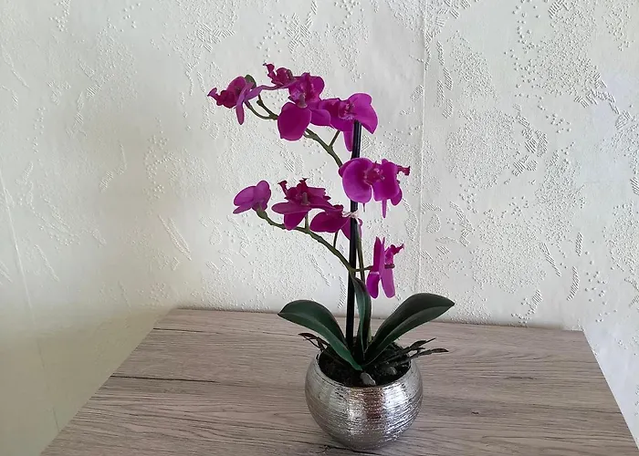 Apartamento Schuster Elend